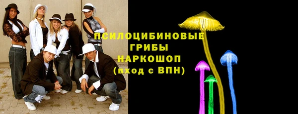 бошки Арсеньев