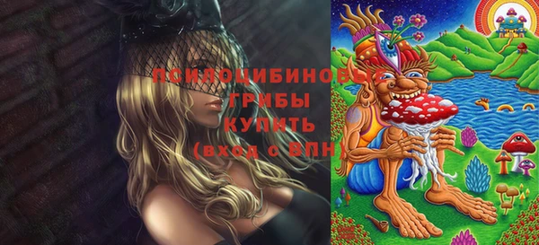 бошки Арсеньев